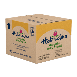 2 - HOLANDINA.